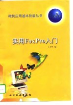 实用FoxPro入门