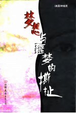 梦想与噩梦的撕扯
