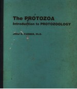THE PROTOZOA INTRODUCTION TO PROTOZOOLOGY