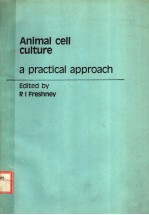 ANIMAL CELL CULTURE A PRACTICAL APPROACH