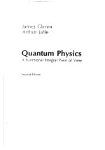 QUANTUM PHYSICS:A FUNCTIONAL INTEGRAL POINT OF VIEW SECOND EDITION