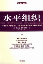 水平组织 一种简约有效、最具竞争力的组织模式