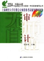 无师自通 2004年注册会计师全国统一考试配套辅导丛书 审计