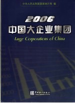 2006年中国大企业集团