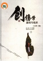 创伤学·基础与临床 下
