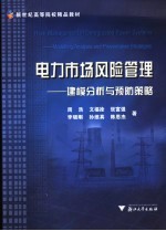 电力市场风险管理 建模分析与预防策略 modelling， analysis and preventative strategies