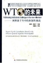 WTO的未来:阐释新千年中的体制性挑战