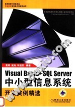 Visual Basic+SQL Server中小型信息系统开发实例精选