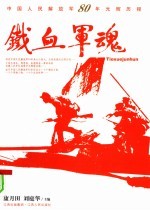 铁血军魂 中国人民解放军80年光辉历程