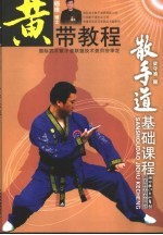 散手道基础课程 黄带教程