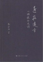 近在远方 一个县的史诗