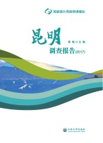 昆明调查报告 2017