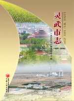 灵武市志 1991-2005