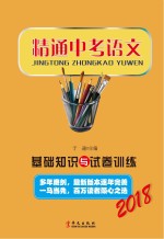 精通中考语文