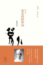 你看我时很远 顾城诗选