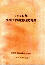 1996年民族工作调查研究专集