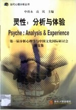 灵性:分析与体验 第一届分析心理学与中国文化国际研讨会论文集