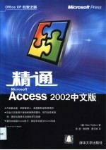 精通Microsoft Access 2002中文版