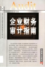 企业财务审计指南