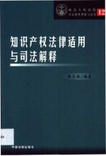 知识产权法律适用与司法解释