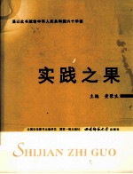 实践之果 深入学习实践科学发展观研究文集