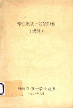 弹性地基上的矩形板 提纲