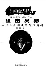 狙击风暴:人民币汇率走势与反危机