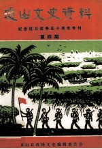 琼山文史资料 纪念抗日战争五十周年专刊 第四期