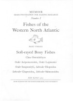 FISHES OF THE WESTERN NORTH ATLANTIC PART THREE