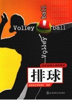 排球