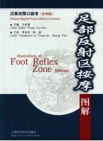 足部反射区按摩图解