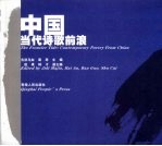 中国当代诗歌前浪