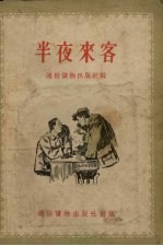 半夜来客 故事选集