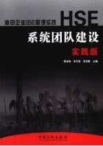 HSE系统团队建设 实践版