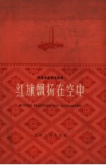 红旗飘扬在空中 杨连第烈士故事