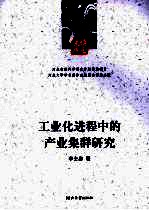 工业化进程中的产业集群研究