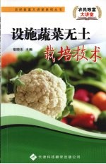 设施蔬菜无土栽培技术