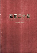 东莞二十年 1978-1998