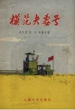 “模范夫妻号”