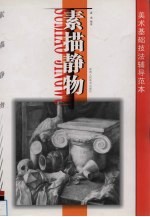 美术基础技法辅导范本 素描静物