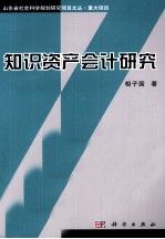 知识资产会计研究