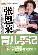 张思莱育儿手记 上