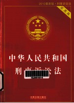 中华人民共和国刑事诉讼法 实用版