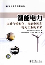 智能电力 应对气候变化智能电网和电力工业的未来