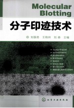 分子印迹技术