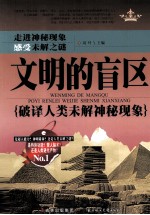 文明的盲区 破译人类未解神秘现象