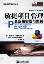 敏捷项目管理 企业级实践与案例