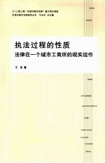 执法过程的性质 法律在一个城市工商所的现实运作