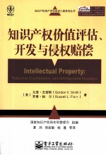 知识产权价值评估、开发与侵权赔偿