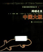 两栖之王 中国大鲵